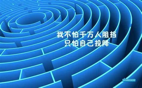 eman安卓版