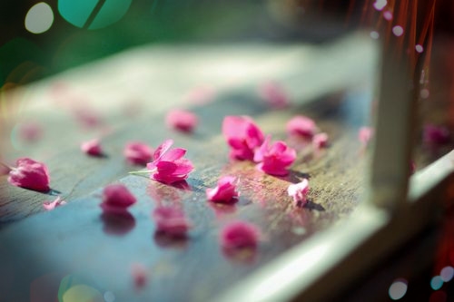 kaiyun登录入口网址安卓版二维码