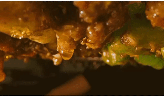 kaiyun官网入口V3.9专业版