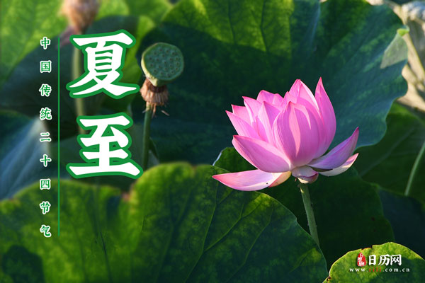 福盈app