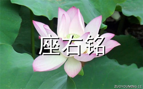 中华取名王完美版