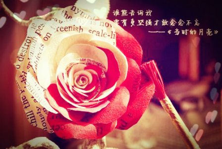 贵州药材APP