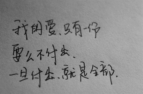 开云在线官方入口安卓版二维码