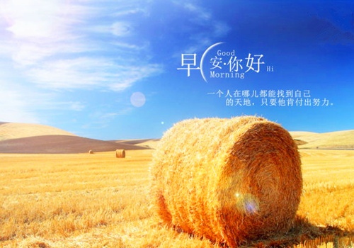 小熊洗车APP