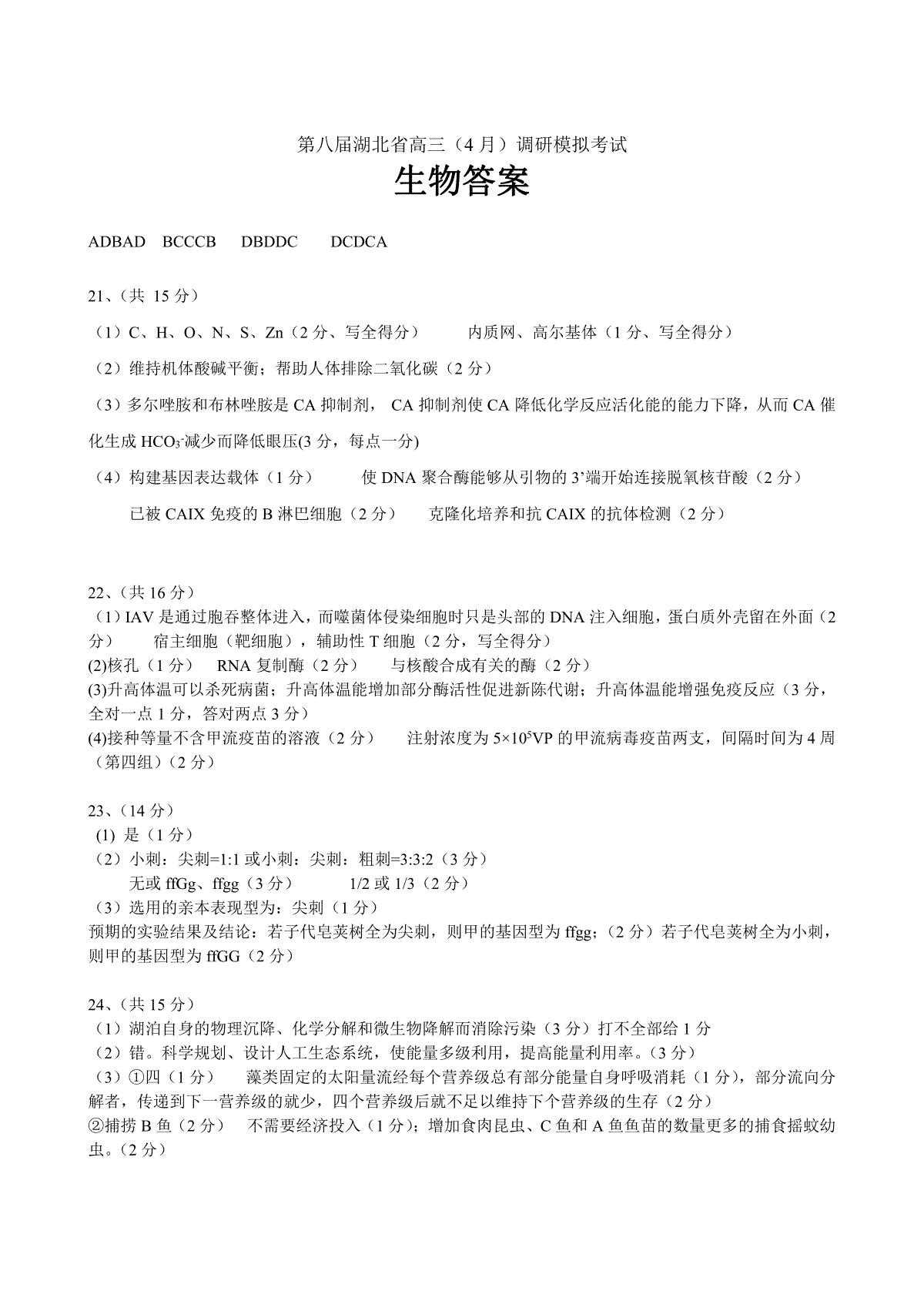 华体会体育app下载2025版新增记忆回廊章节画面