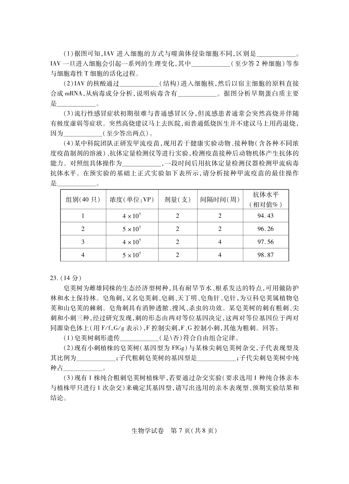 小熊洗车APP