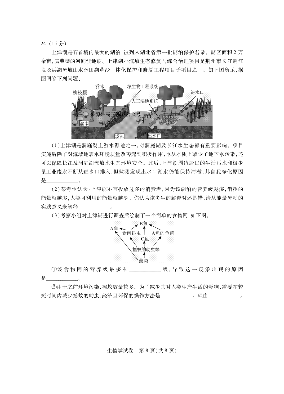 喝水时间表