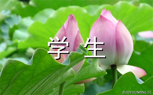 芒果体育apptvt 2025最新版 亚丁大陆场景