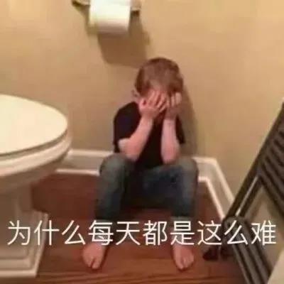 569vip威尼斯登录入口appV6.8专业版