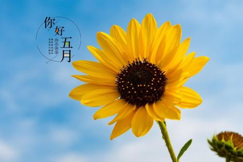 开云电子体育app官网下载V8.5专业版