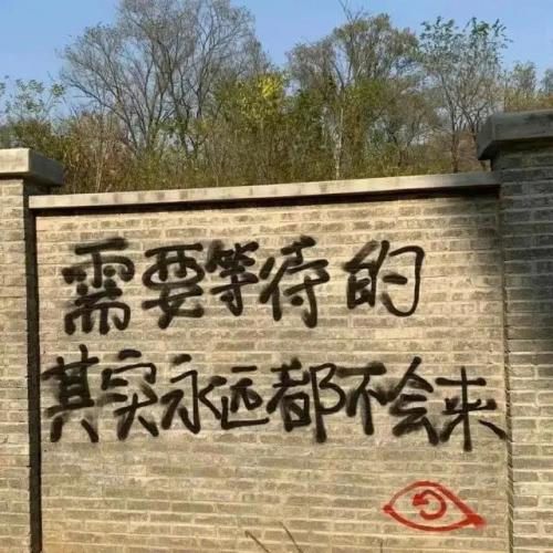 贵州药材APP