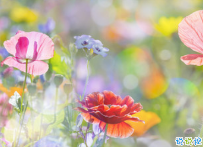 大发神彩争霸app