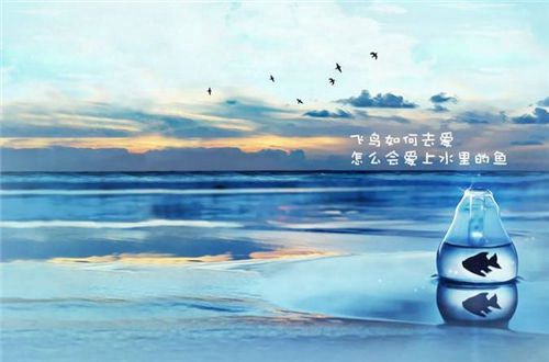 河南汽车维修平台APP