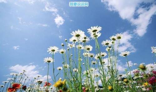 贵州药材APP