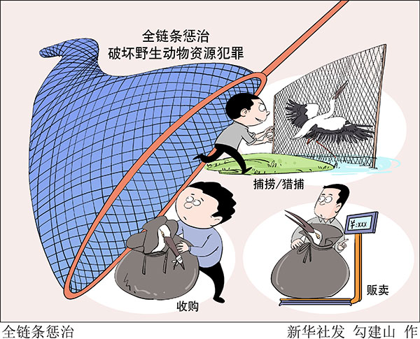 开云安全最新版本