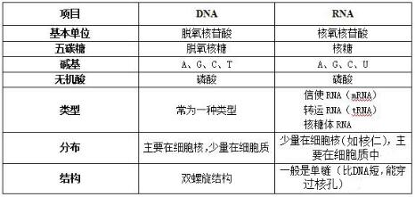 bet9net网页版