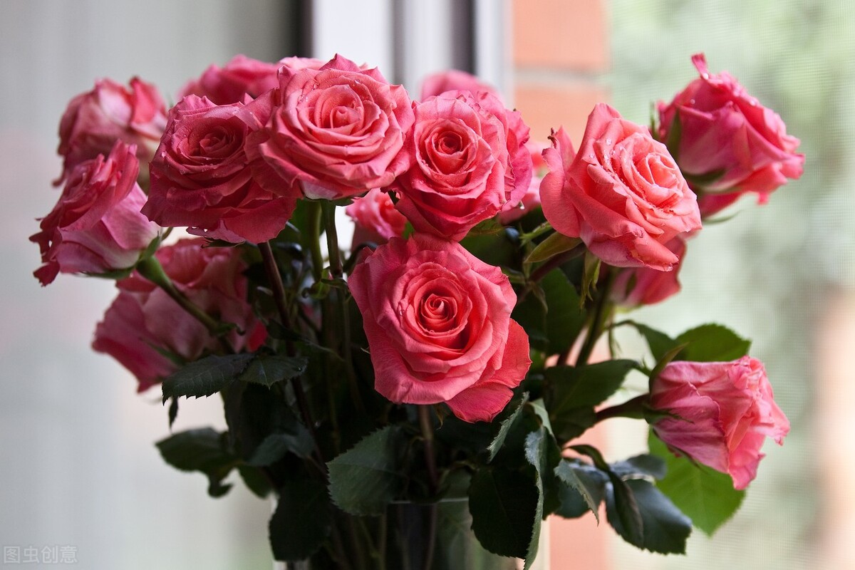 法语助手智能输入法