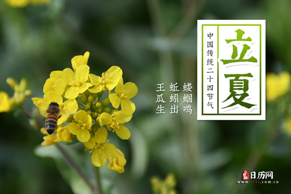 kaiyun体育网页版登录方式安卓版二维码