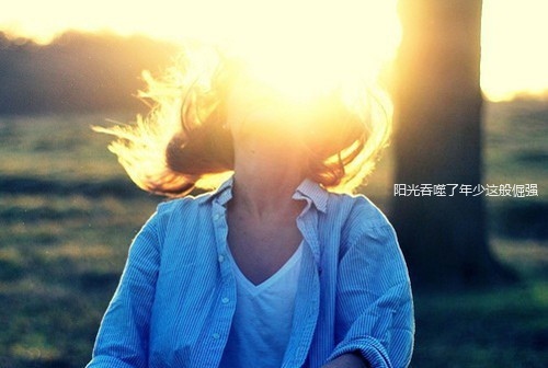 中世纪王国战争八项修改器