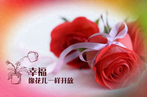 kaiyun.cn登录入口登录app下载安装