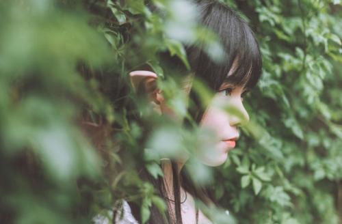 贵州药材APP