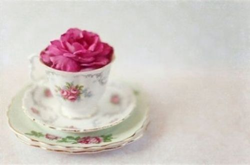 贵州药材APP