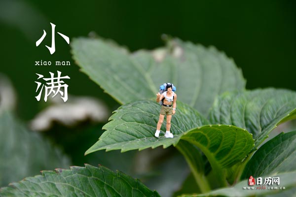 光盘烧录(CDBurnerXP Pro)