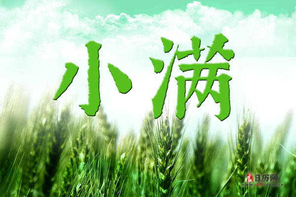 Tg淘金网2025最新版科幻战场场景