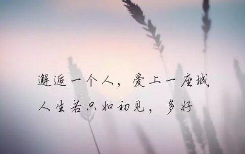 贵州药材APP
