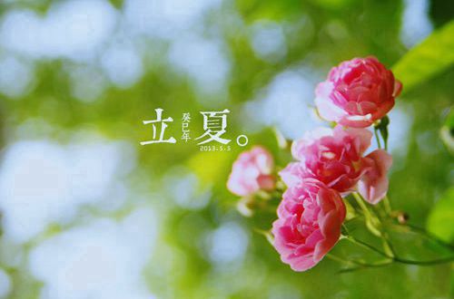 小熊洗车APP