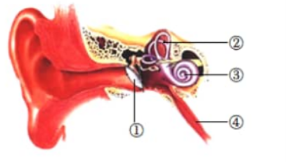 IObit Malware Fighter离线病毒库