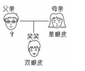 eman安卓版