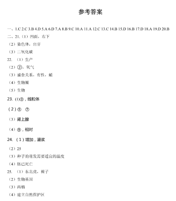 直播足球直播网app 2025版 主城热闹景象