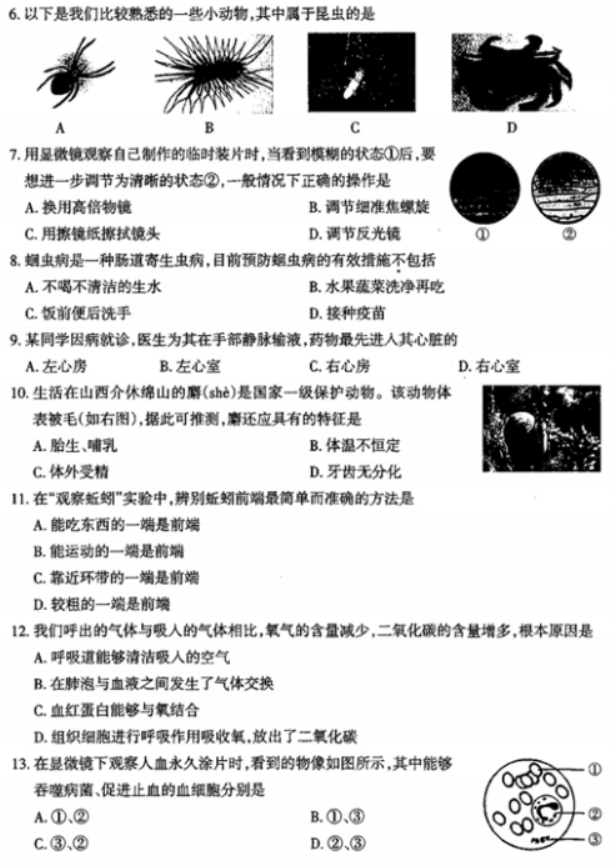 贵州药材APP