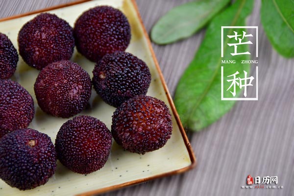 天顺app账号登录与机甲仓库界面