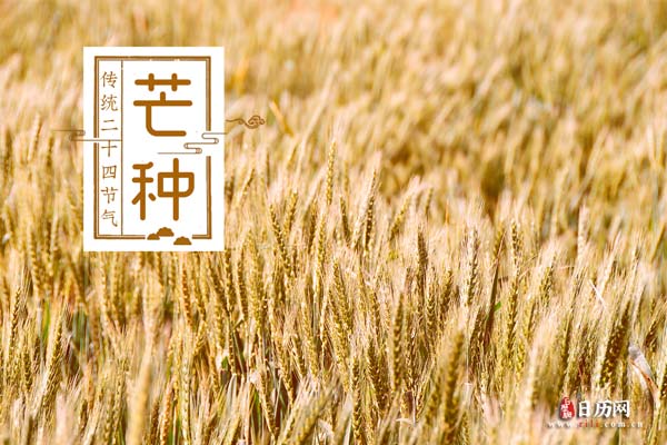 赛尔号之战神无双手机游戏