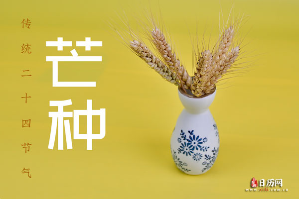 小熊洗车APP
