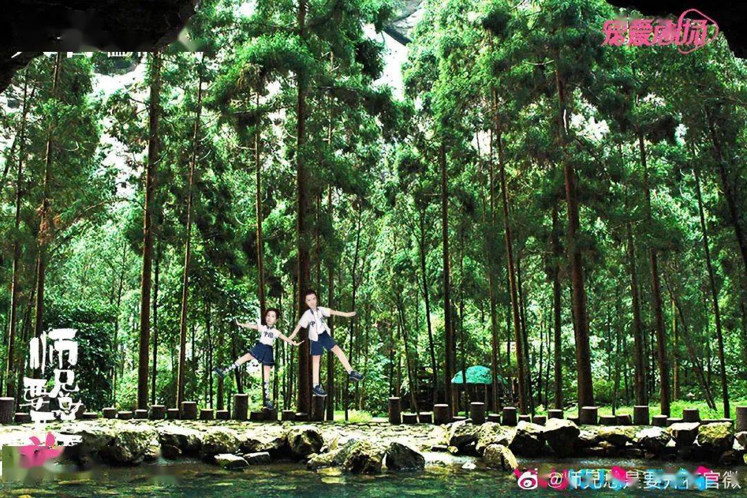 jdb电子科技APP2025版精美角色与坐骑展示