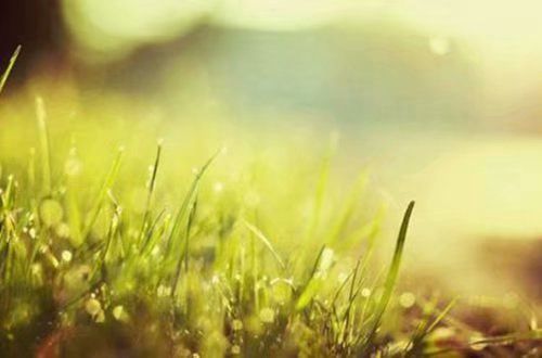 yh533388银河官网app安卓版二维码