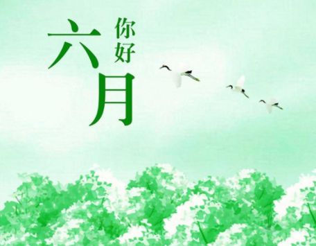 小玛丽捕鱼appV4.8专业版
