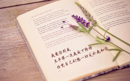 贵州药材APP