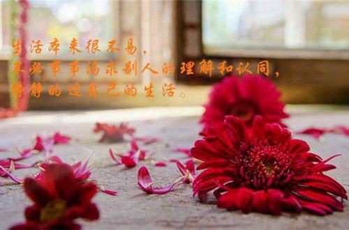 foxit reader中文版