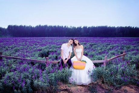 小熊洗车APP