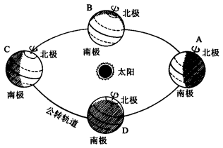 红果免费短剧
