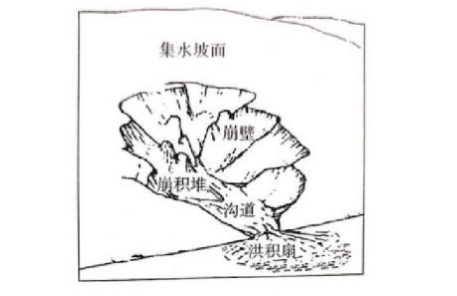 尊彩网登录安卓版二维码