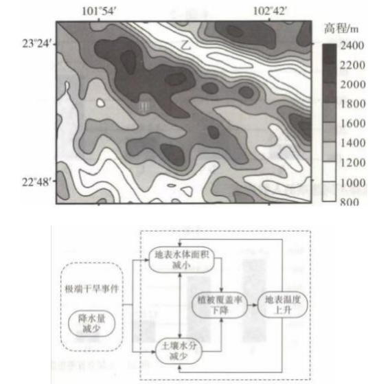 狸窝dvd转换器绿色版