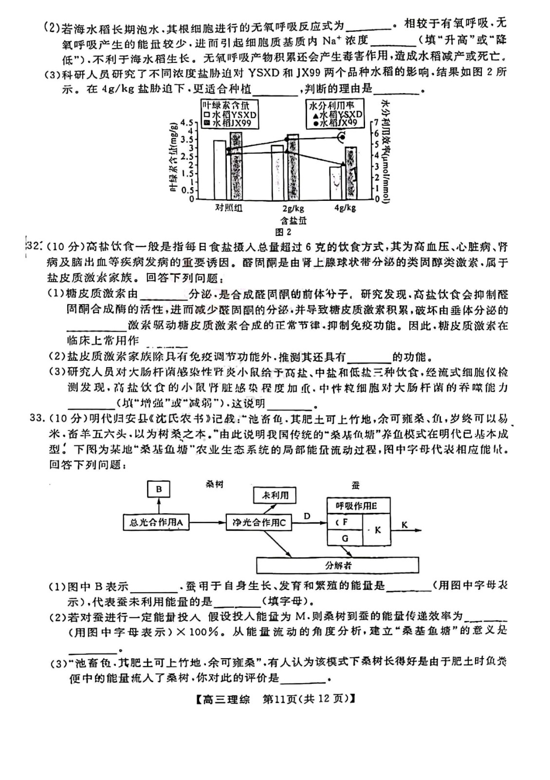 kaiyun体育app官网赛事直播2025最新版废土世界场景