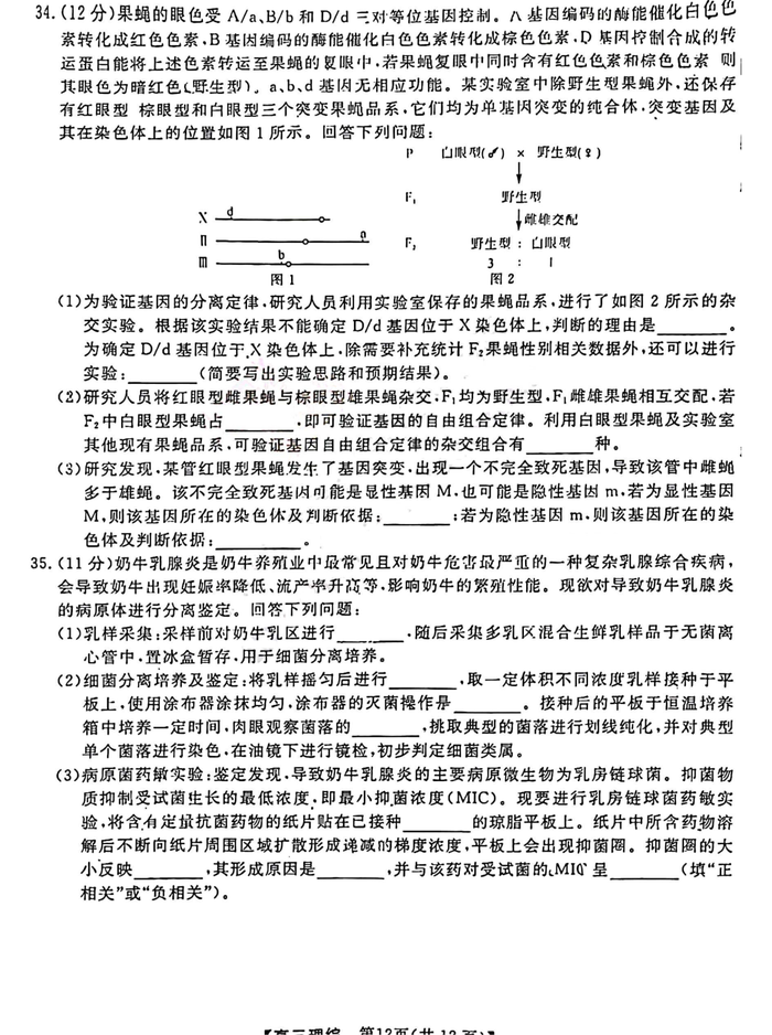 苹果鼠标指针主题包