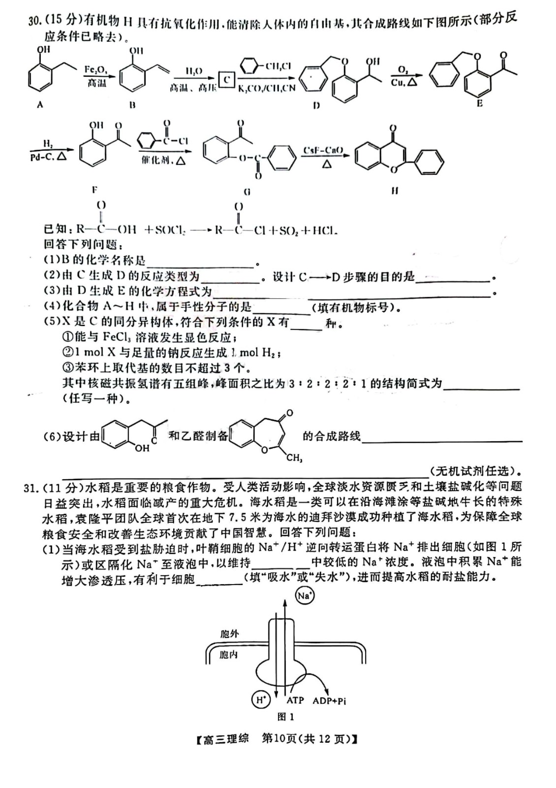 河南汽车维修平台APP