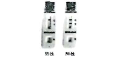 云开体育app官网下载2025最新版永霜冻土新区域